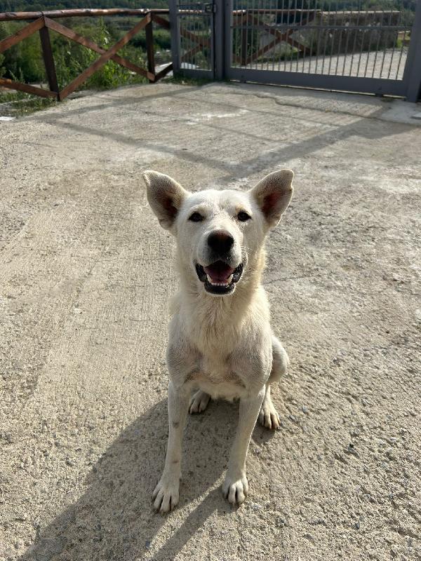 🌸Maya, Mamma Coraggio In Cerca Di Amore 💕