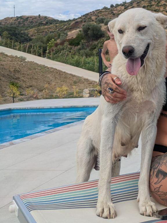 🌸Maya, mamma coraggio in cerca di amore 💕 Foto 3