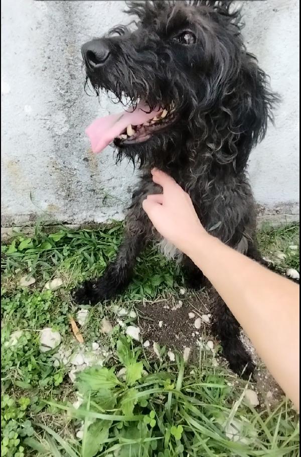 Allegra  Foto 2
