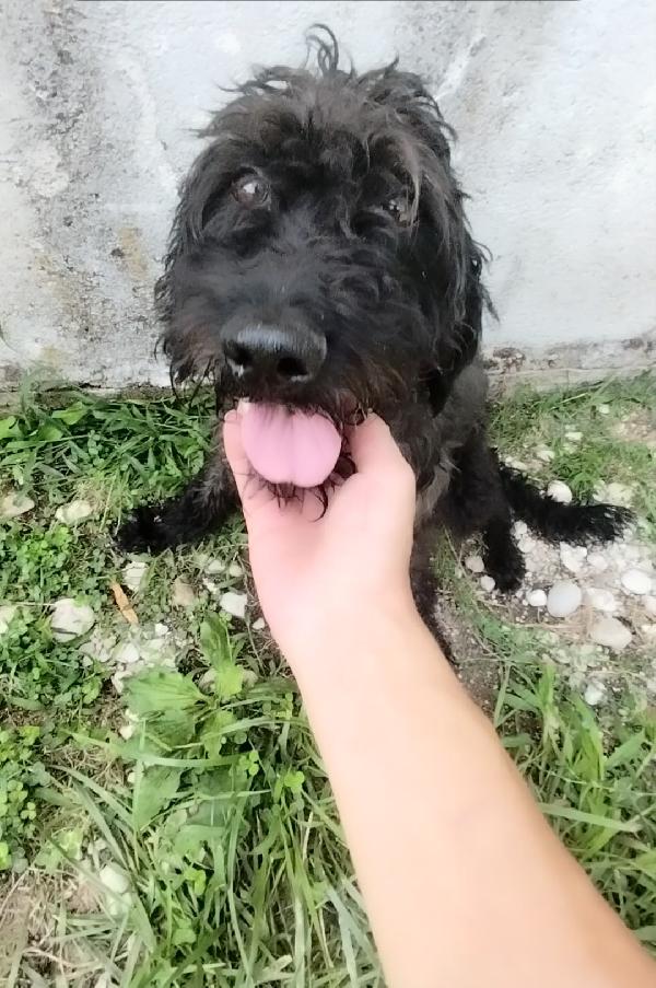 Allegra  Foto 3