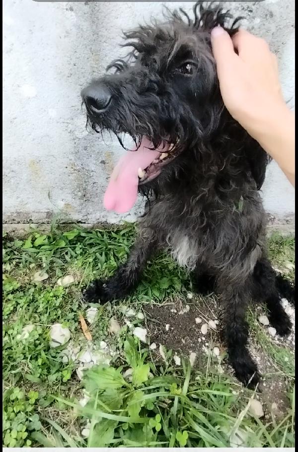 Allegra  Foto 4