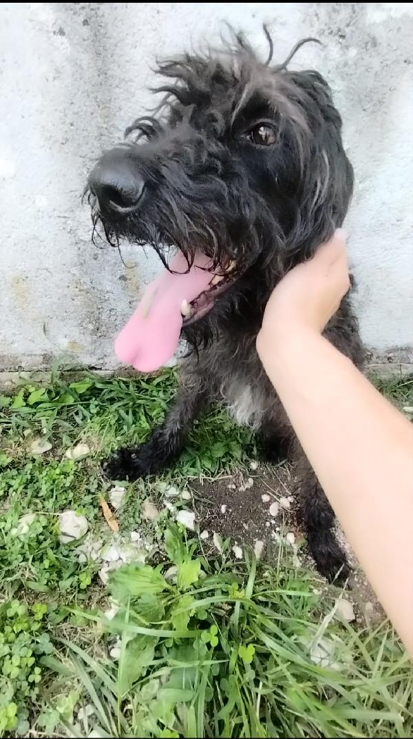 Allegra  Foto 5