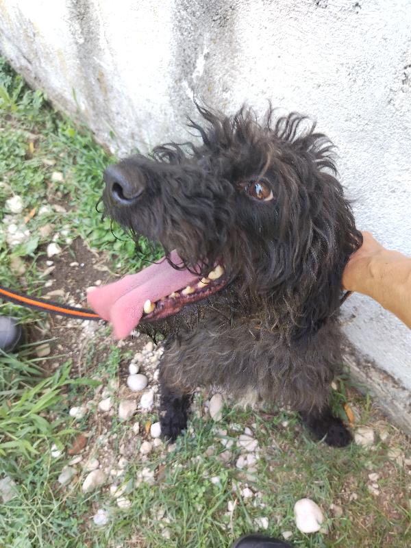 Allegra  Foto 6