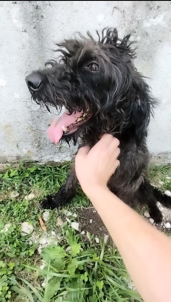 Allegra  Foto 7