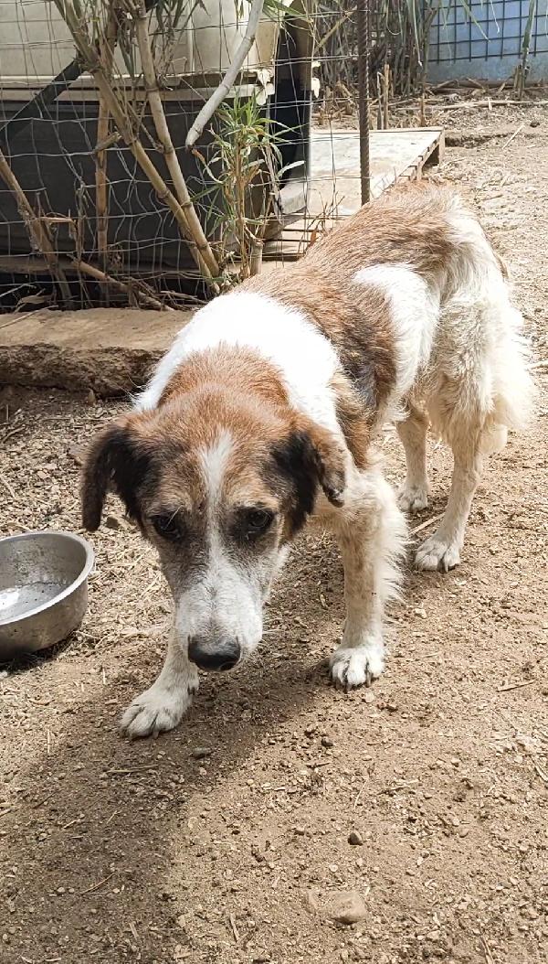 Tina 11 Anni Di Vita Mai Vissuta
