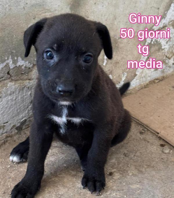 Due mesi: taglie medie Foto 7