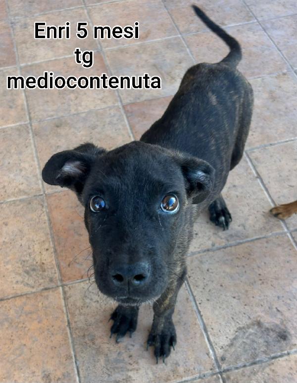 Due mesi: taglie medie Foto 8