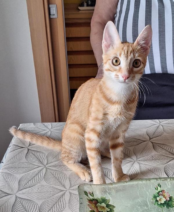 Zoe Foto 3