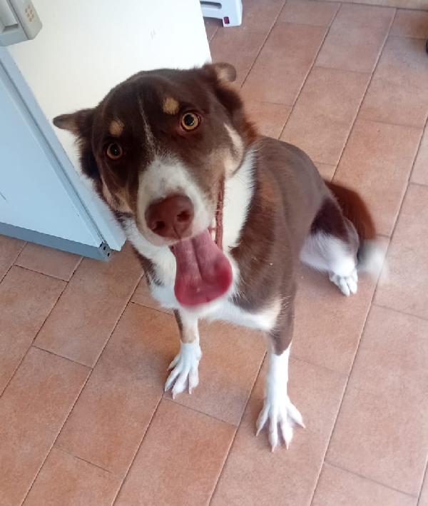 Una Mamma Per Kinder