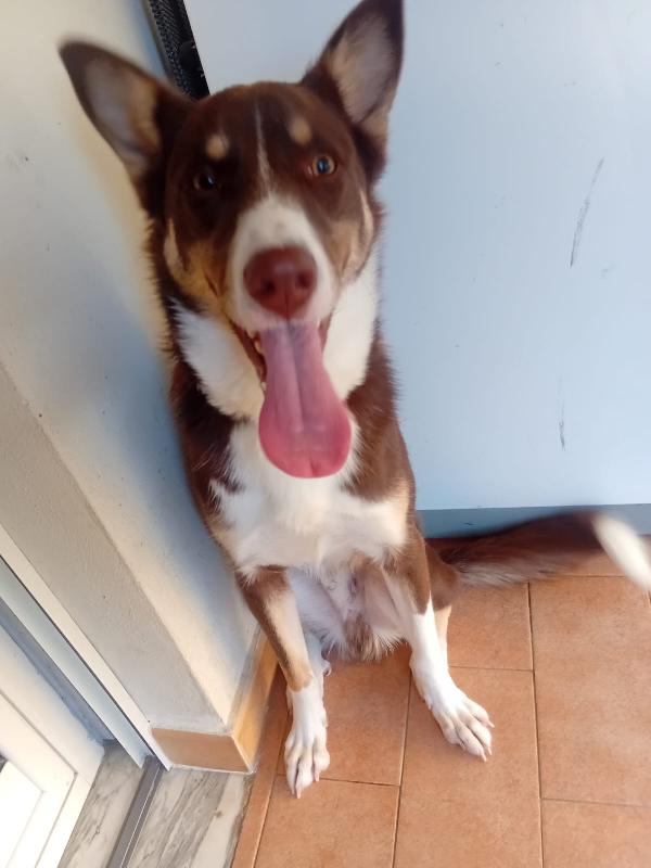 UNA MAMMA PER KINDER Foto 2