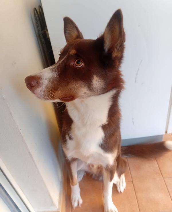 UNA MAMMA PER KINDER Foto 3