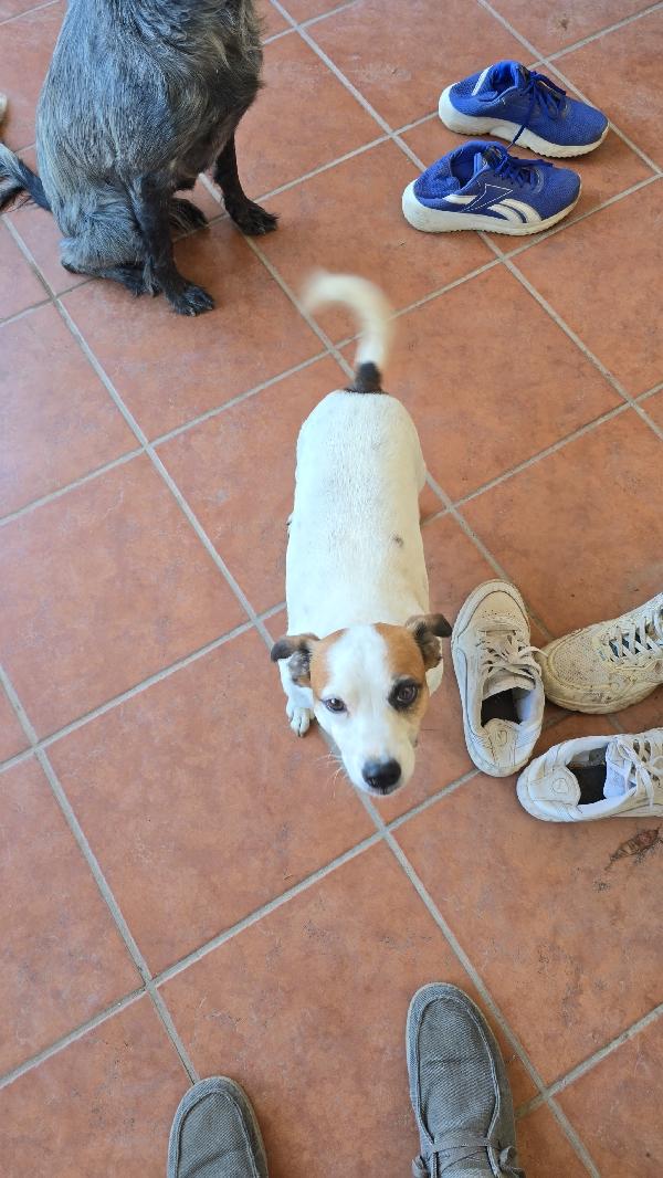 Milo Foto 3