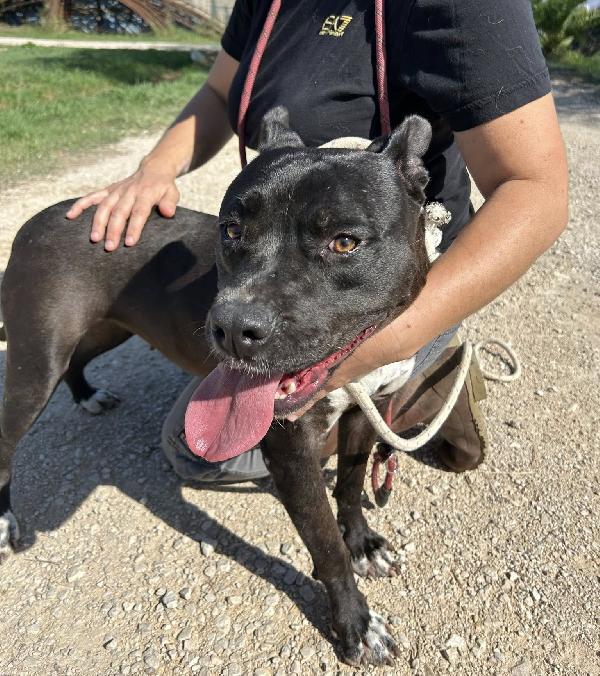 JESSY, un cuore di pitt Foto 8