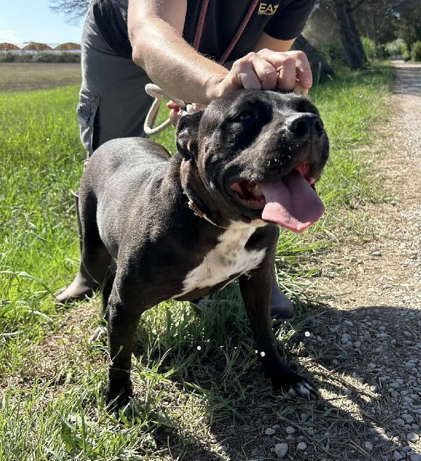 JESSY, un cuore di pitt Foto 9