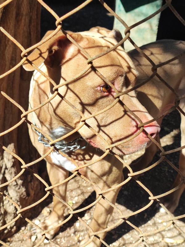 THOR, ennesima rinuncia di un pit buono come il pane🩵 Foto 3