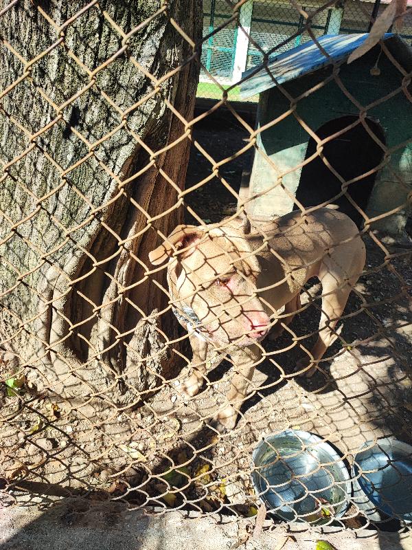 THOR, ennesima rinuncia di un pit buono come il pane🩵 Foto 4