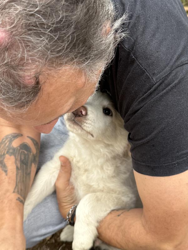 🔆🐾 rio 🐾🔆 dolcissimo meraviglioso cucciolo in adozione  Foto 7