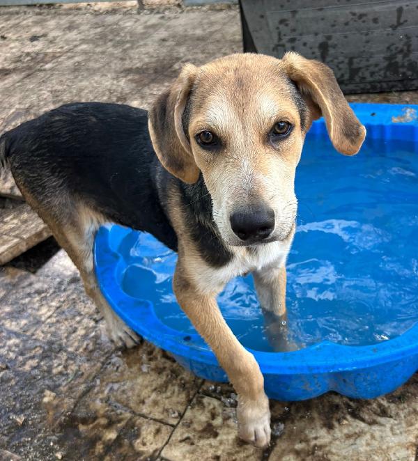 Timo: da 5 mesi senza richieste  Foto 3