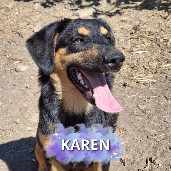 Karen❣️🧸