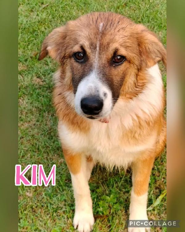 Kim🌹💘 Foto 7