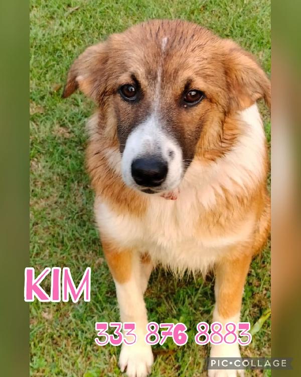 Kim...aspetta Un Regalo
