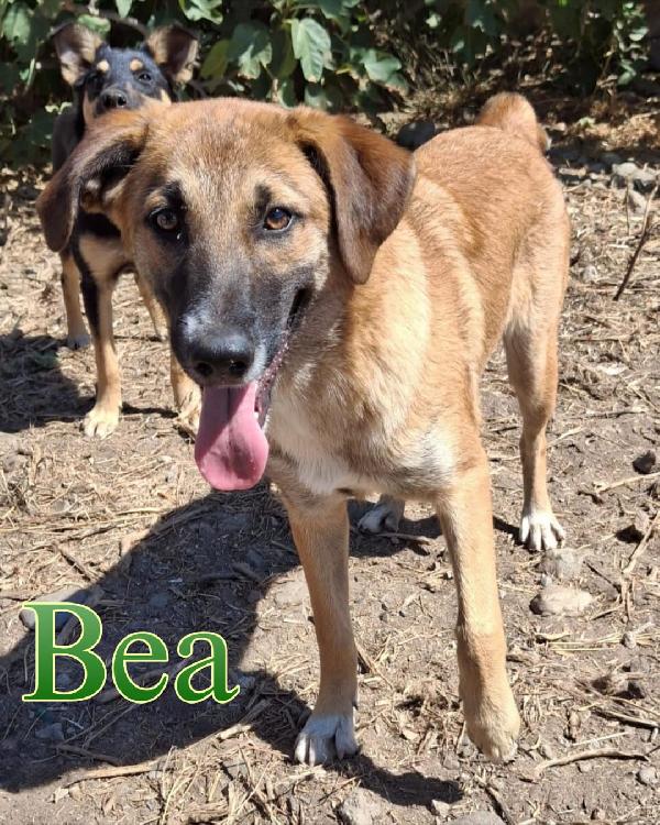 Bea 💜❤️🎀