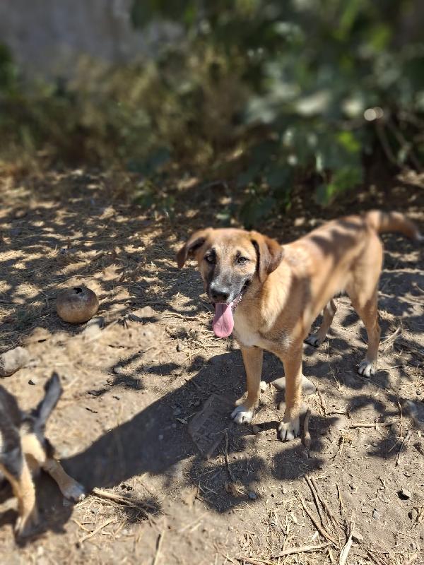Bea💖 Foto 5
