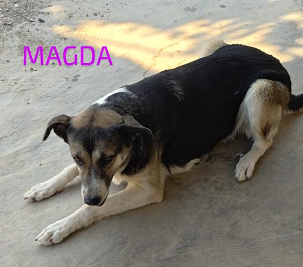 MAGDA – MAMMINA CORAGGIOSA, ORA TOCCA A LEI TROVARE AMORE Foto 2