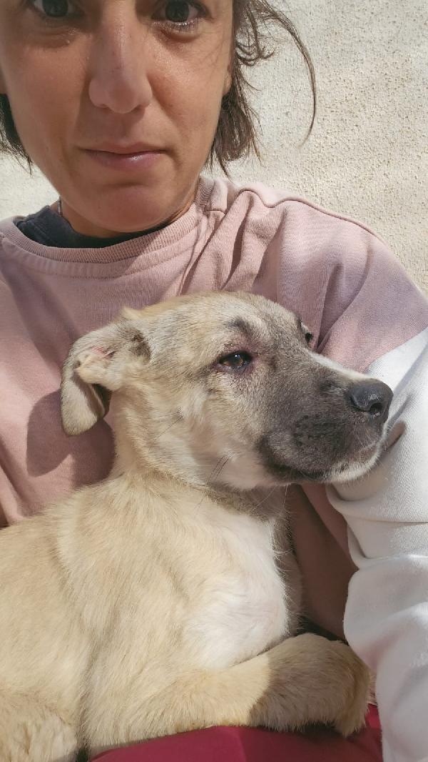 Zira: 3 Mesi Taglia Media 
