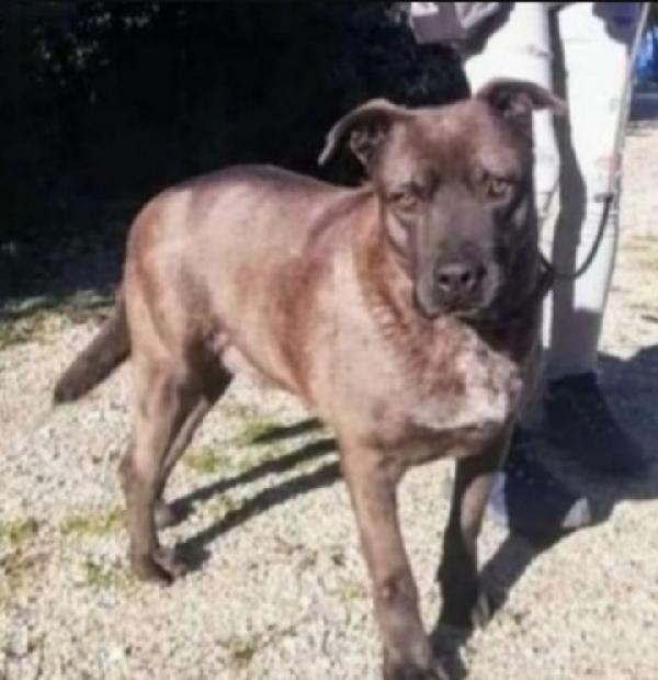 Ruben 5/6Anni Nessuno Lo Sceglie. Lecce