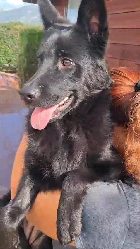 Dakota 6 Mesi