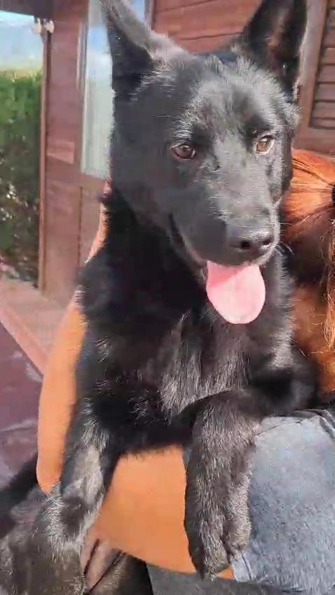 Dakota 6 mesi Foto 3