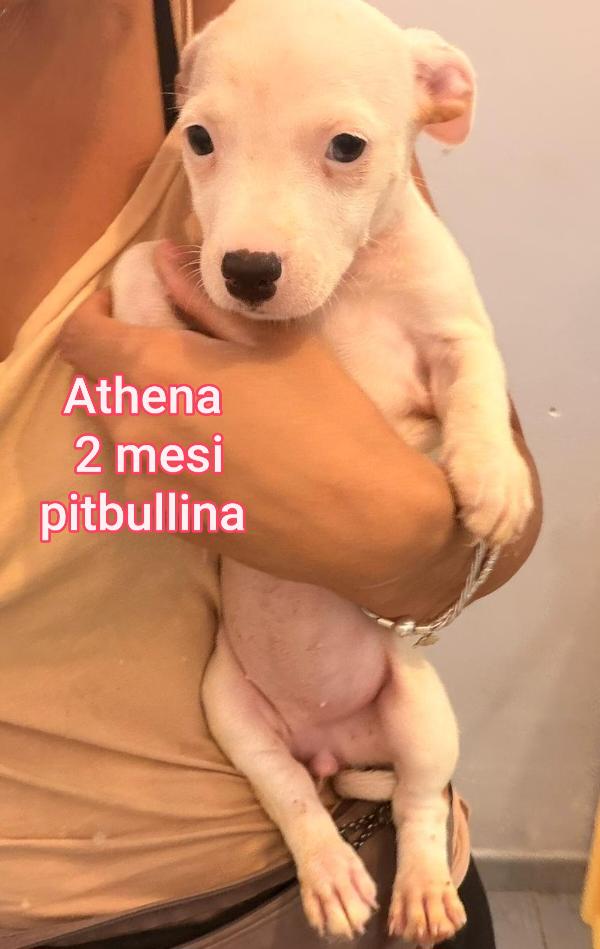 Due mesi: taglie medie Foto 5