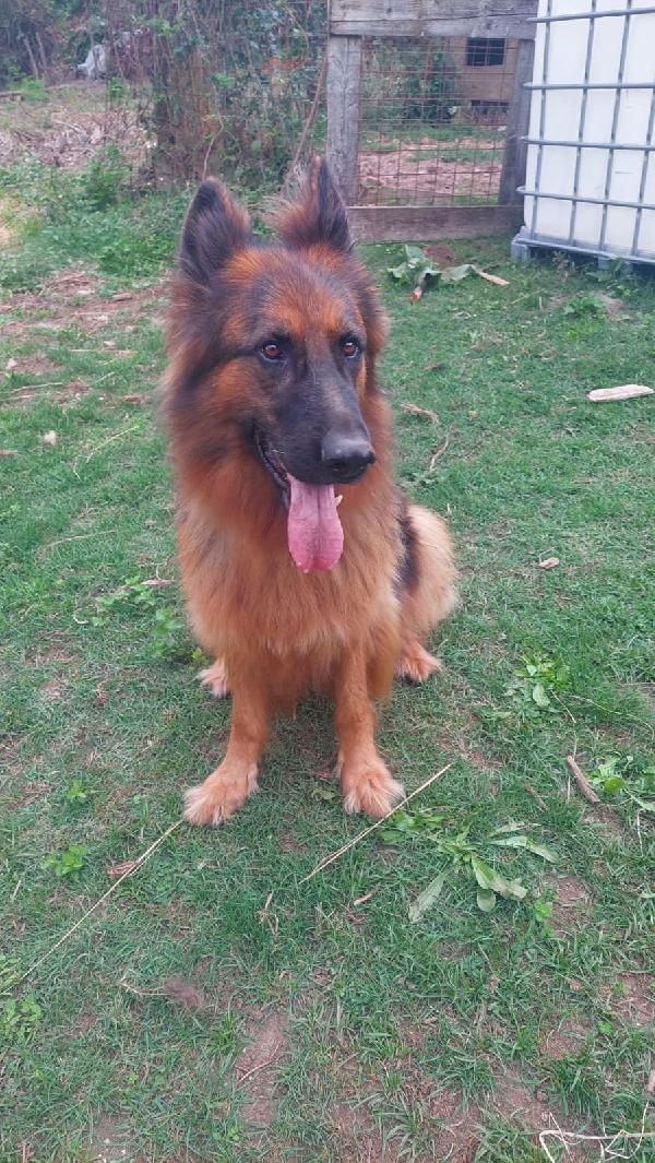 LEO Foto 2