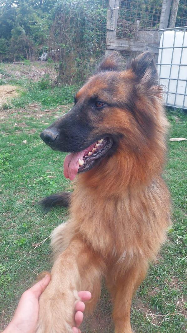LEO Foto 3