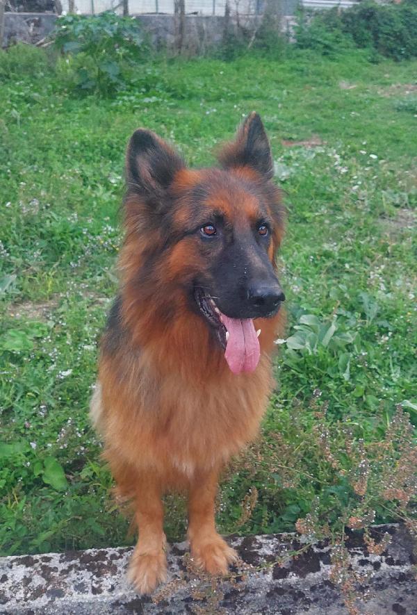 LEO Foto 4