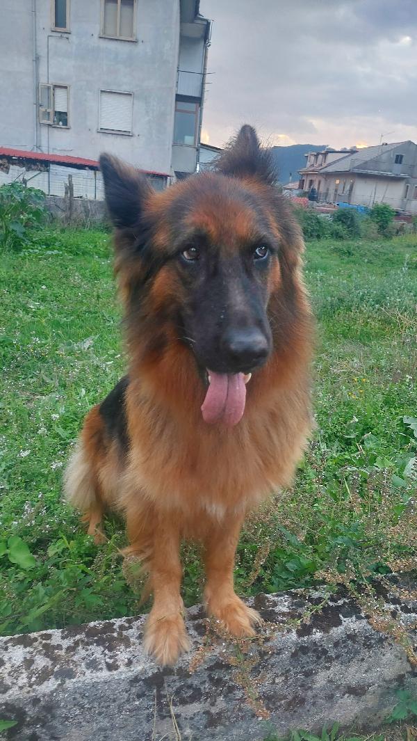 LEO Foto 5