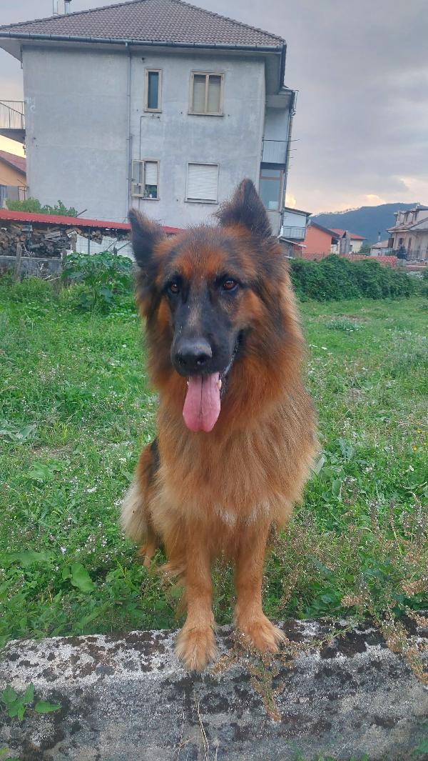 LEO Foto 7