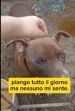 8anni di attesa invana chiuso in box SUD Foto 1