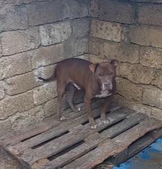 8anni di attesa invana chiuso in box SUD Foto 3
