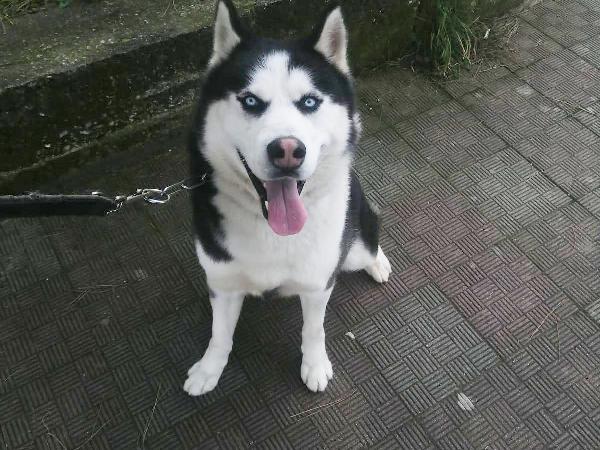 Ben Foto 3