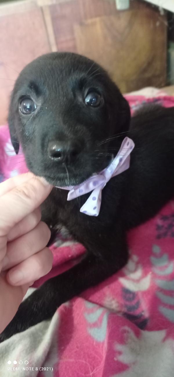 Piccola Coccolona💞