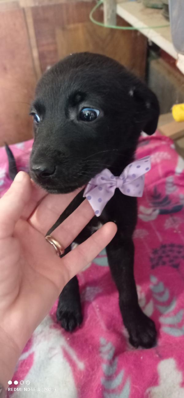 Piccola coccolona💞 Foto 2