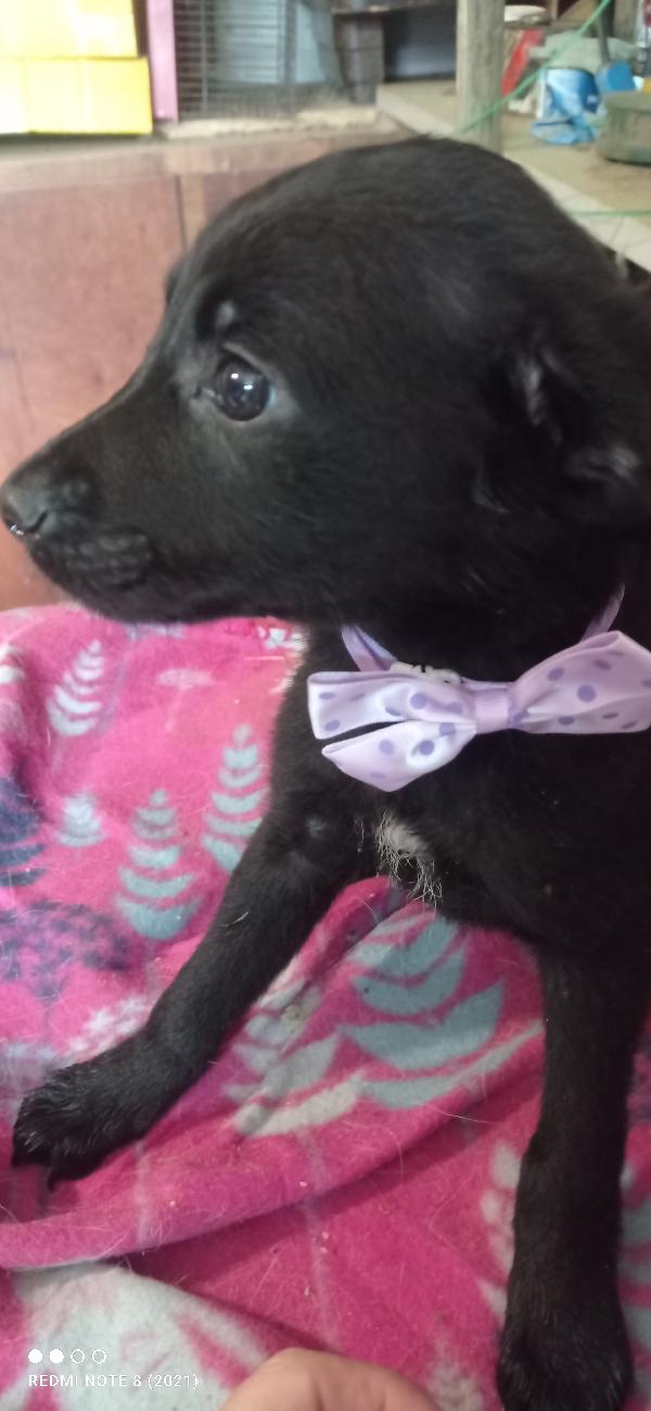 Piccola coccolona💞 Foto 4