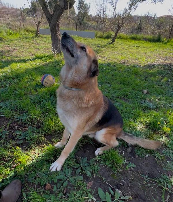 Argo🐾 Foto 2