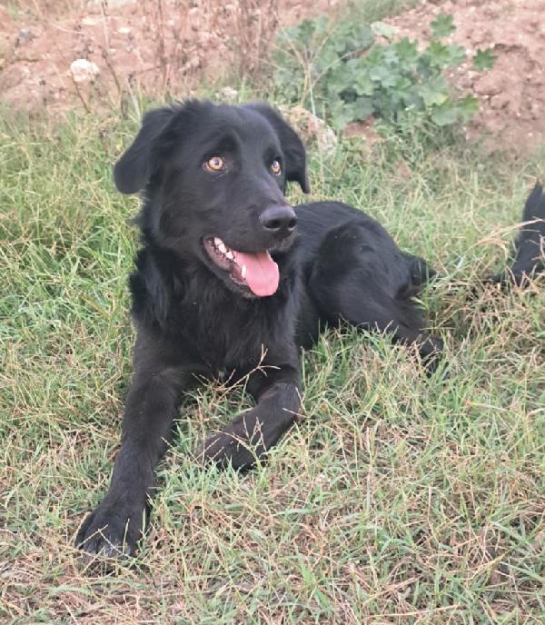 UNA MAMMA PER LUCIO Foto 3