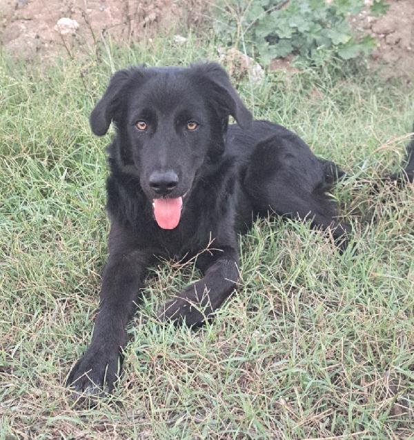 UNA MAMMA PER LUCIO Foto 5