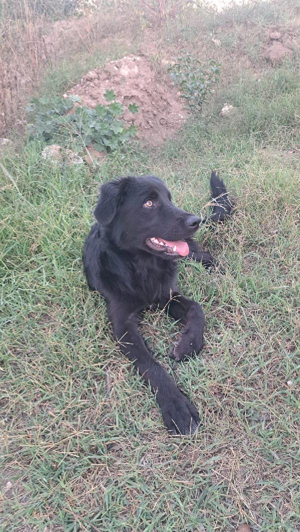 UNA MAMMA PER LUCIO Foto 6