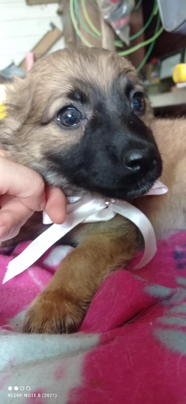 Virgola 😍😍😍😍😍😍😍 Foto 2