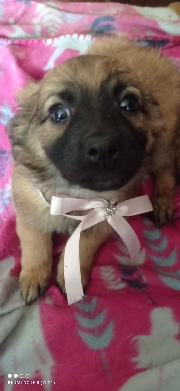 Virgola 😍😍😍😍😍😍😍 Foto 4